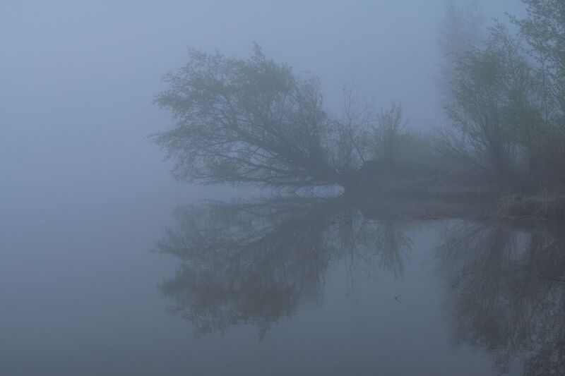 Зазеркалье фото превью