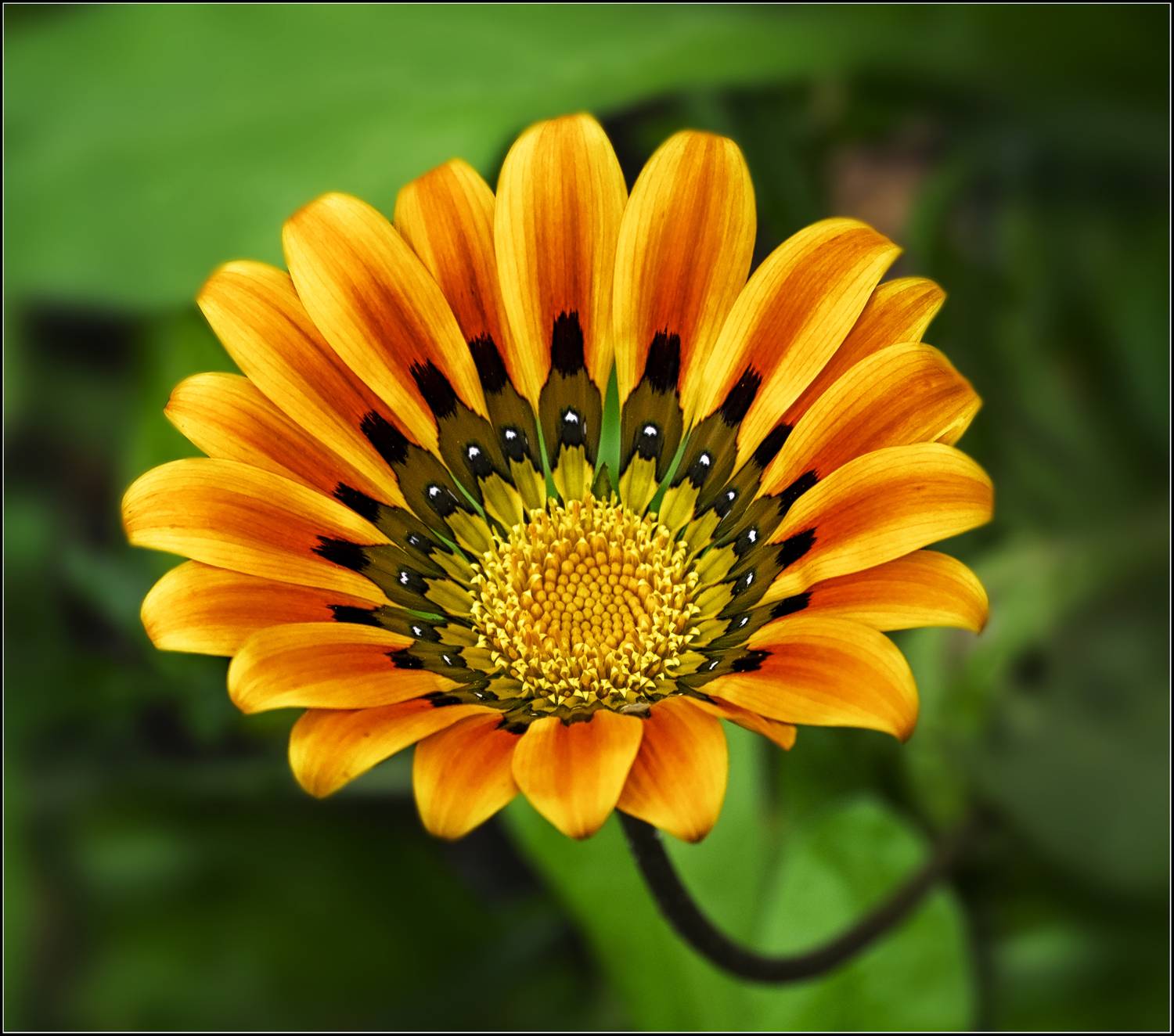 , Ушаков Валерий