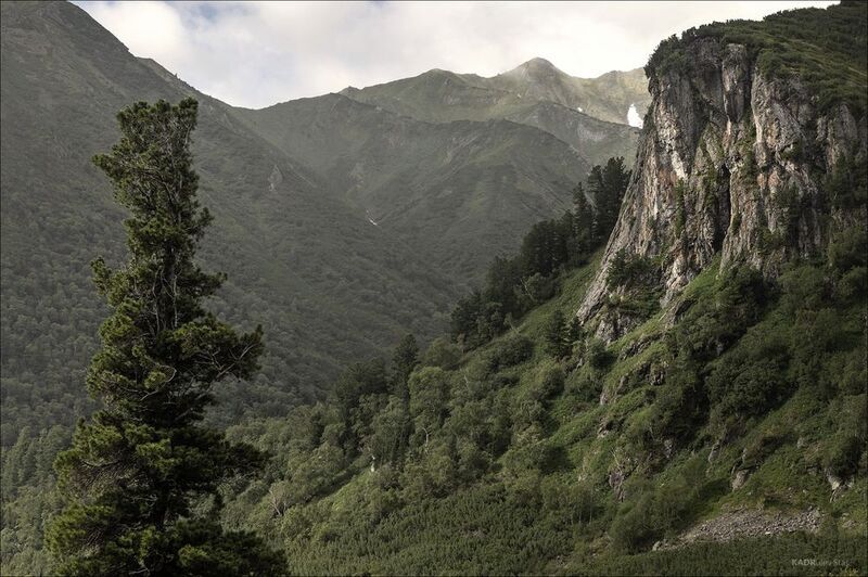 + фото превью