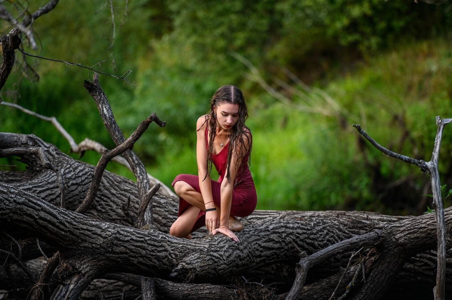 , Николай Никитин