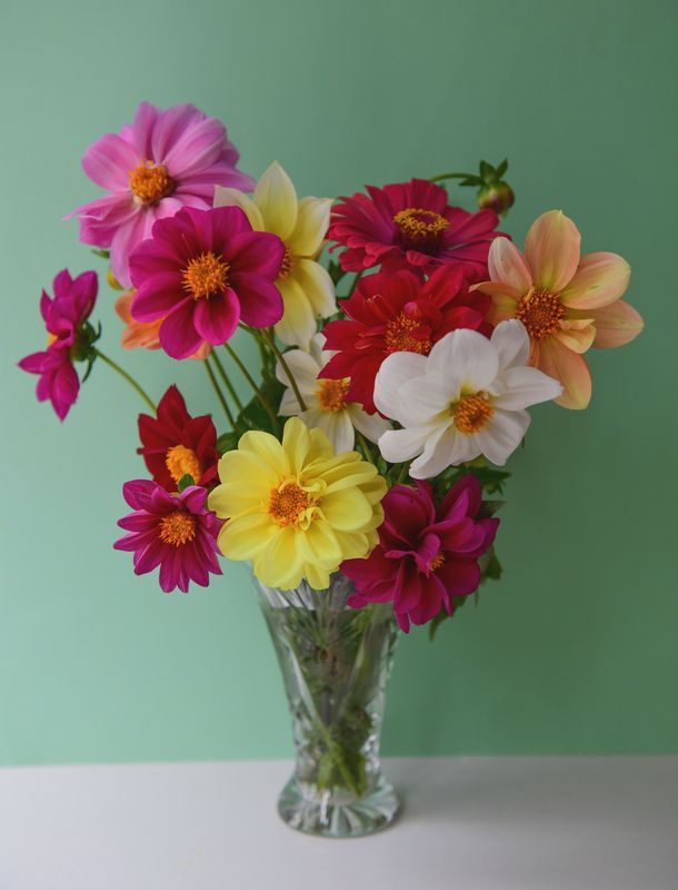 Август фото превью