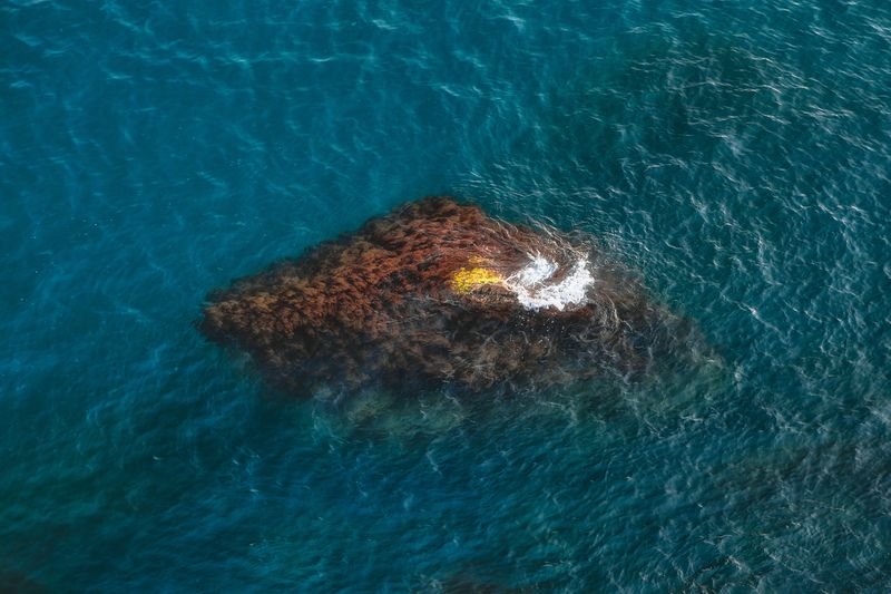 пейзаж, море, природа, дикая природа, nature, wildlife, canon Морской бриз фото превью