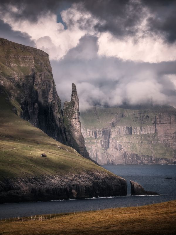 Witches\\\' finger фото превью