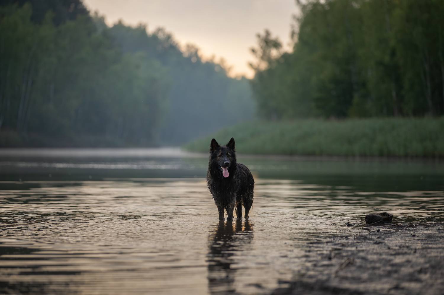 , Шерскова Мария