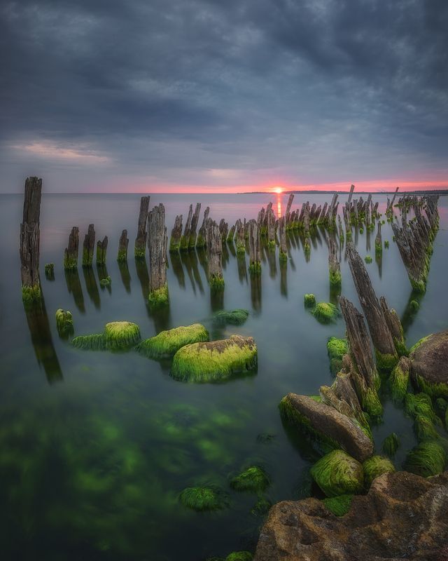 ленобласть, финский залив, рассвет, восход, лето *** фото превью