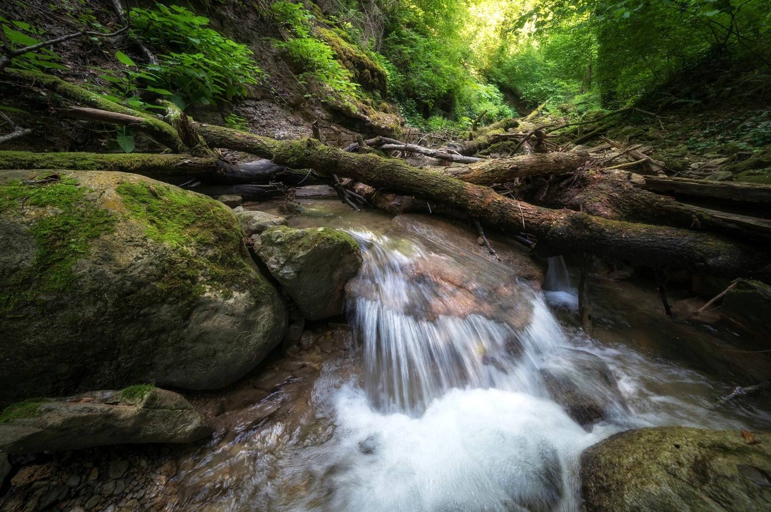 , Сергей Тихомиров