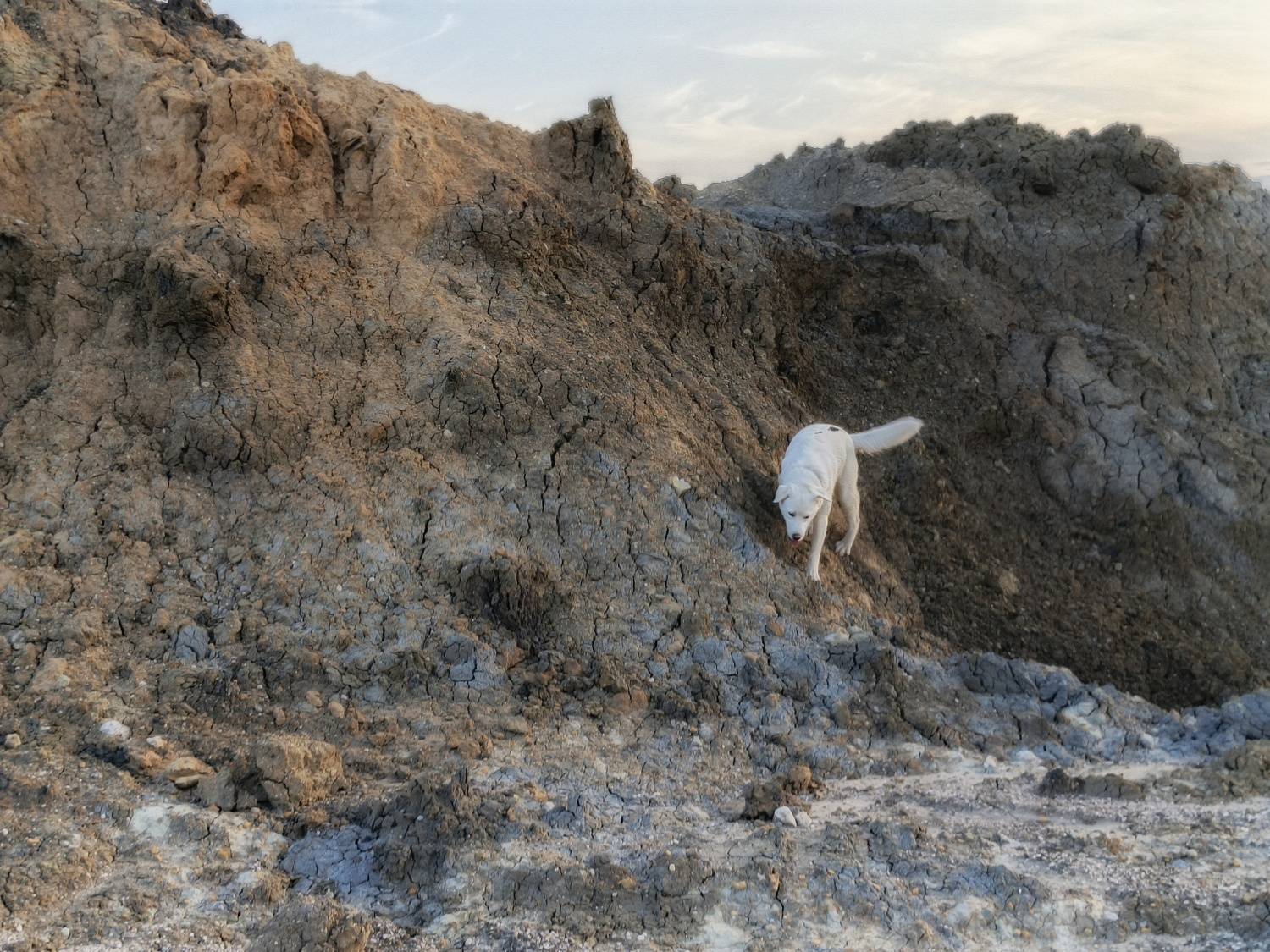 , Кондрашова Светлана