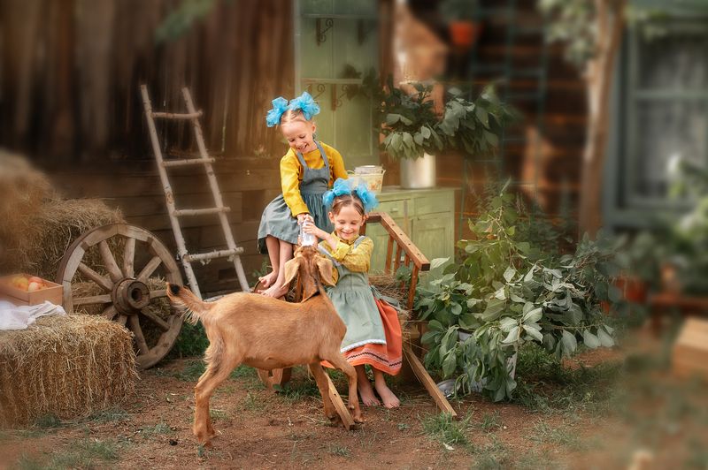 фото превью