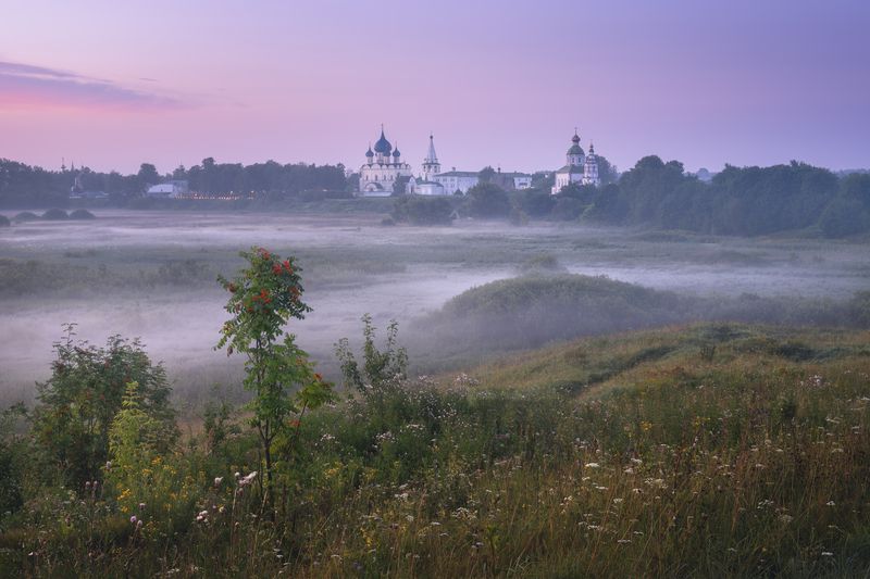 Туманное утро на Ильинском лугу фото превью
