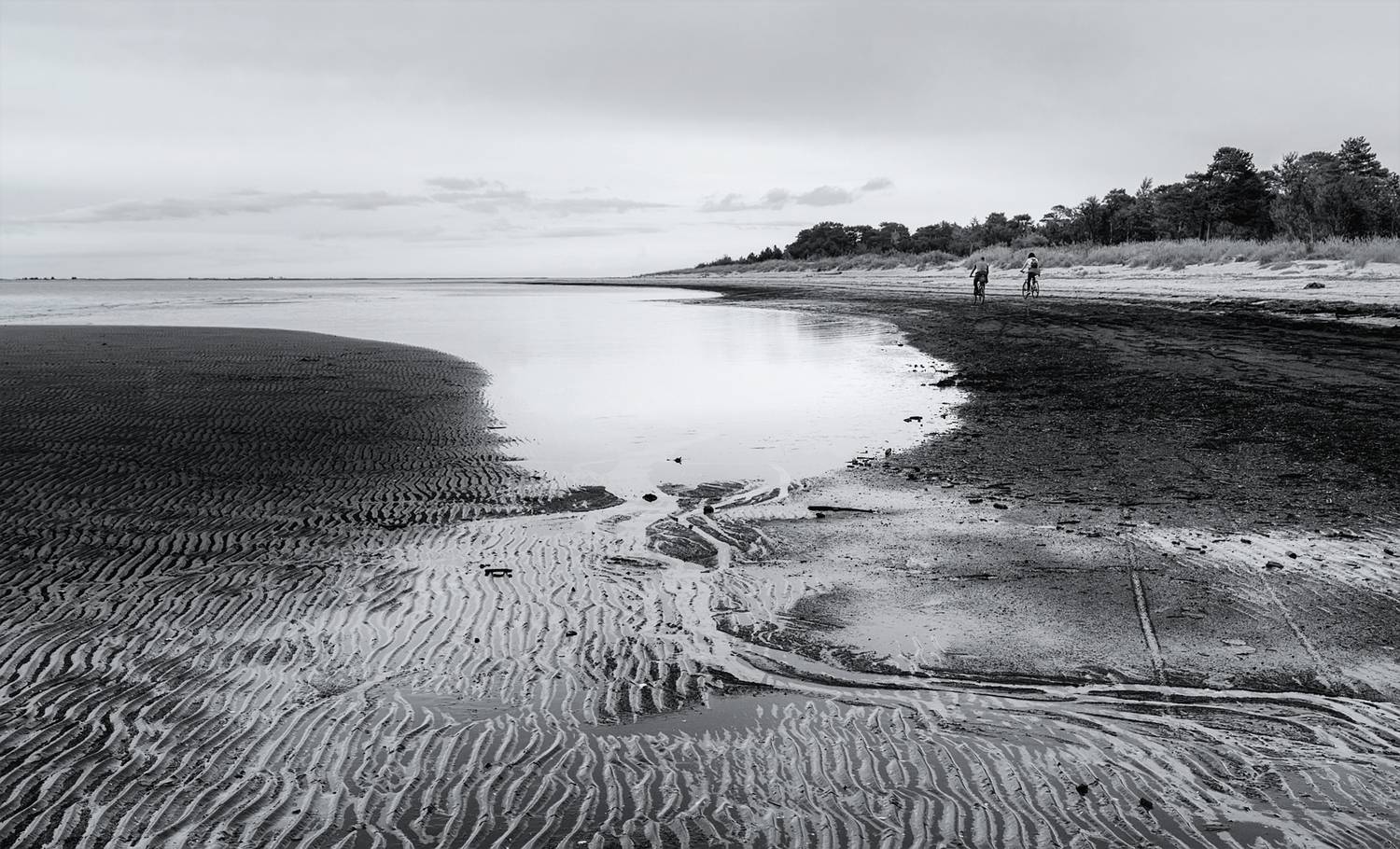 белое море, залив, вода, отлив, берег, следы, прогулка, велосипедисты, деревья, черно-белое, Вера Ра