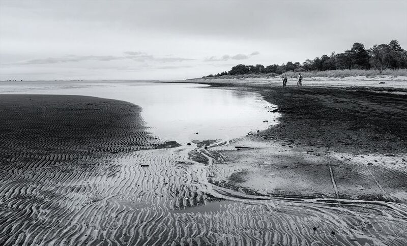белое море, залив, вода, отлив, берег, следы, прогулка, велосипедисты, деревья, черно-белое Берег Белого моря, час отлива фото превью