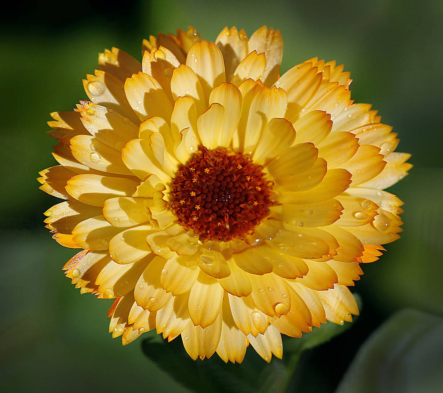 , Ушаков Валерий