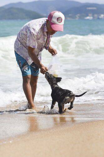 Beachlife of a local boy and his puppy 