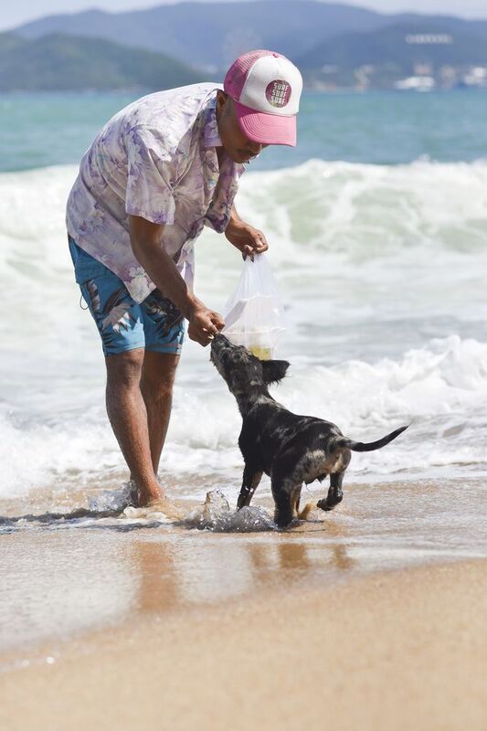 nhatrang  Beachlife of a local boy and his puppy  фото превью
