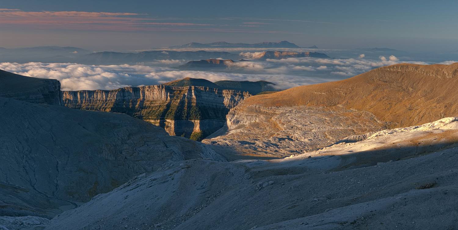 , Wojciech Tarnowski