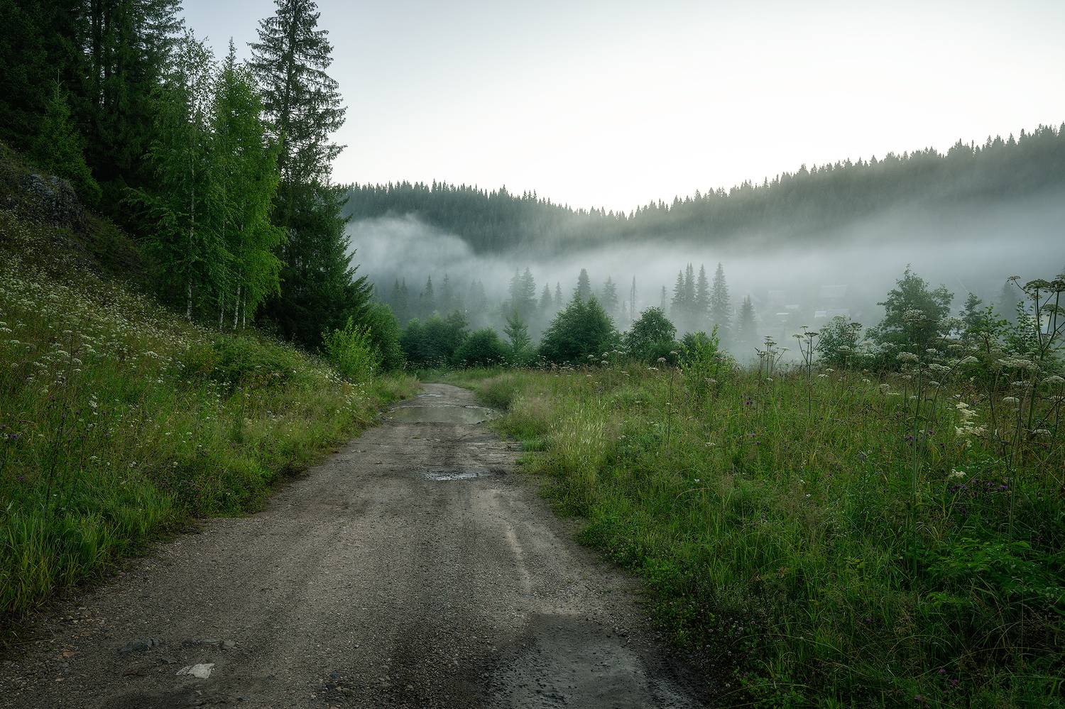 пермский край, пейзаж, рассвет, красота природы, поле, лето, река, природа, дикая природа, койва, лес, усть-койва, Кузнецов Кирилл