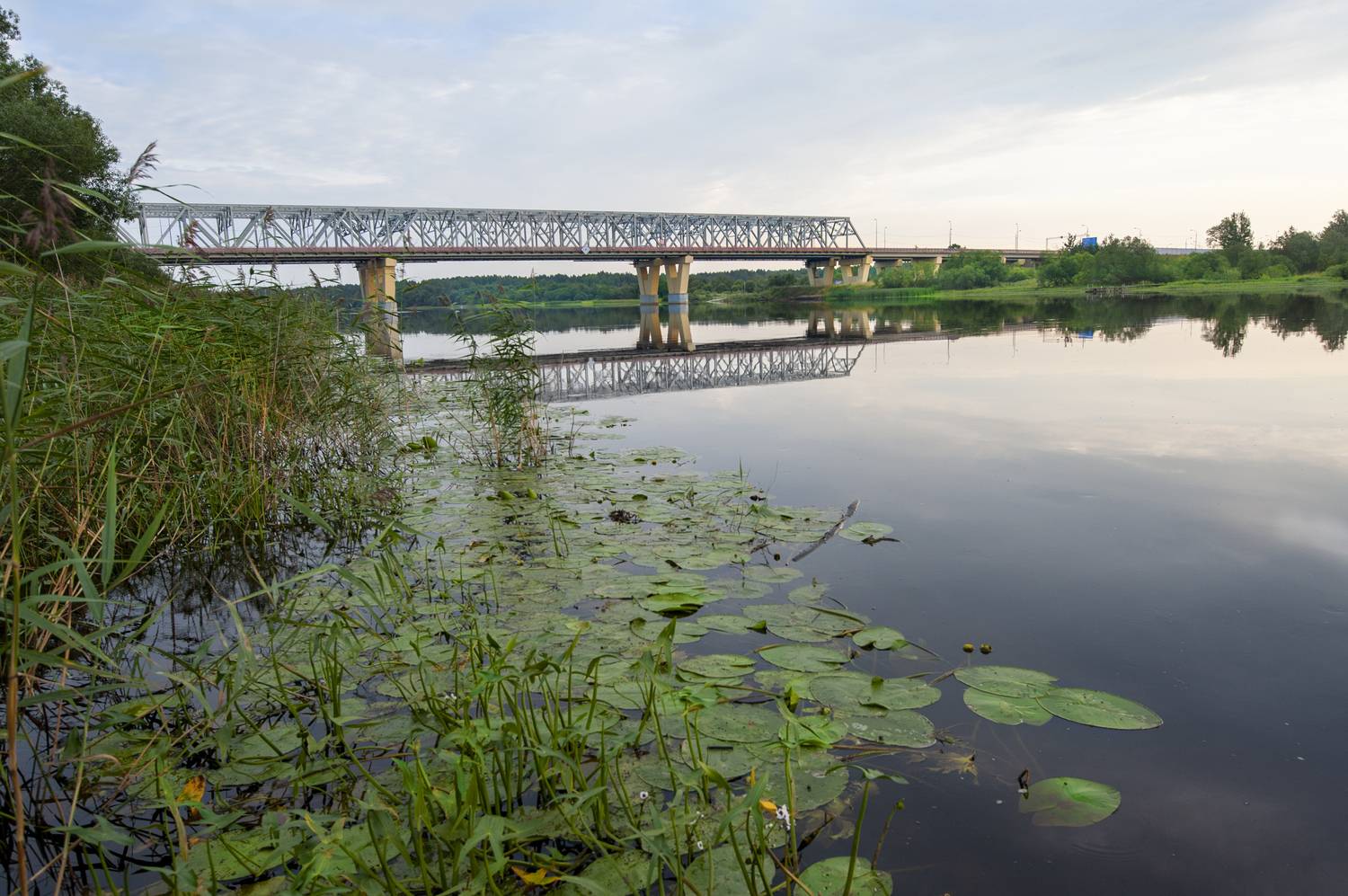 , Георгий Сапожников