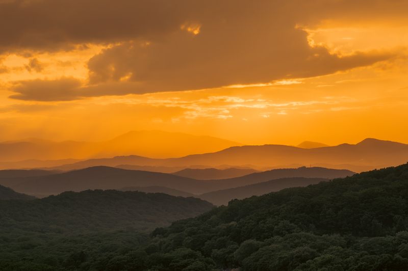 Ливадия фото превью