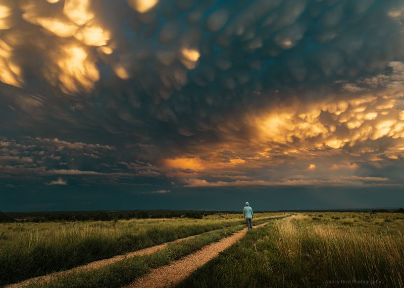 sunset, new mexico, usa, landscape, field, summer, nature, outdoors, clouds, sky, mammatus, storm Stormy mammatus sunset фото превью