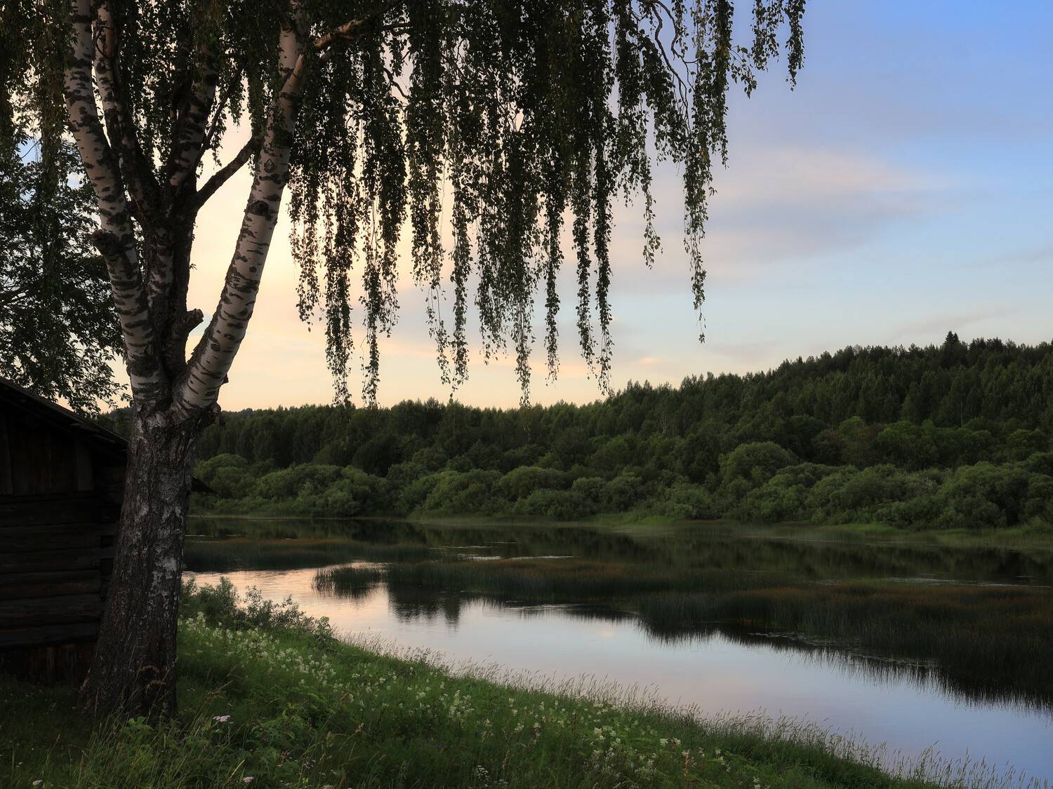 , Александр Титов