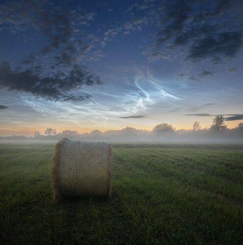 Серебро лета