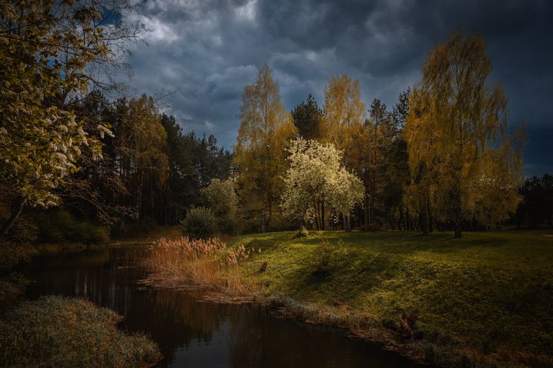 фото превью