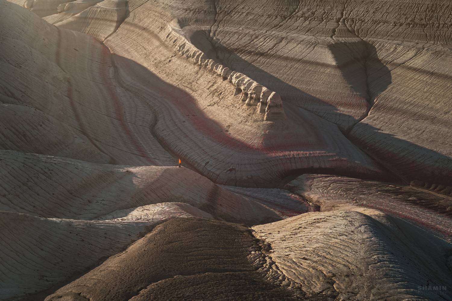 , Константин Шамин