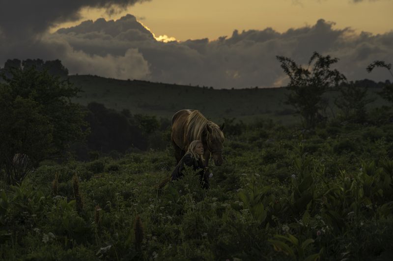 Россия, Краснодарский край, Мостовской район, Бароновы поляны, лошадь Родственные души фото превью