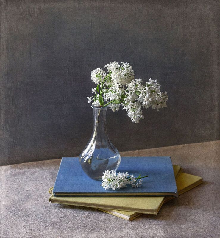 Белая сирень фото превью