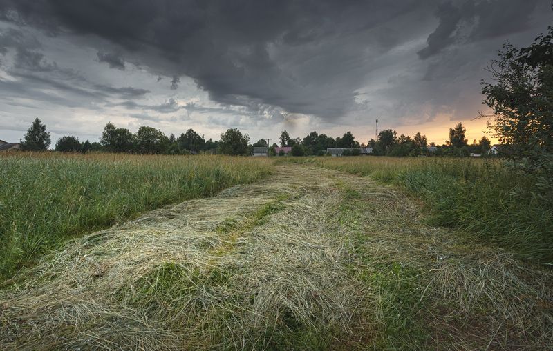 лето Утро в Торбеево... фото превью