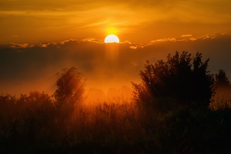 Поздний рассвет... фото превью
