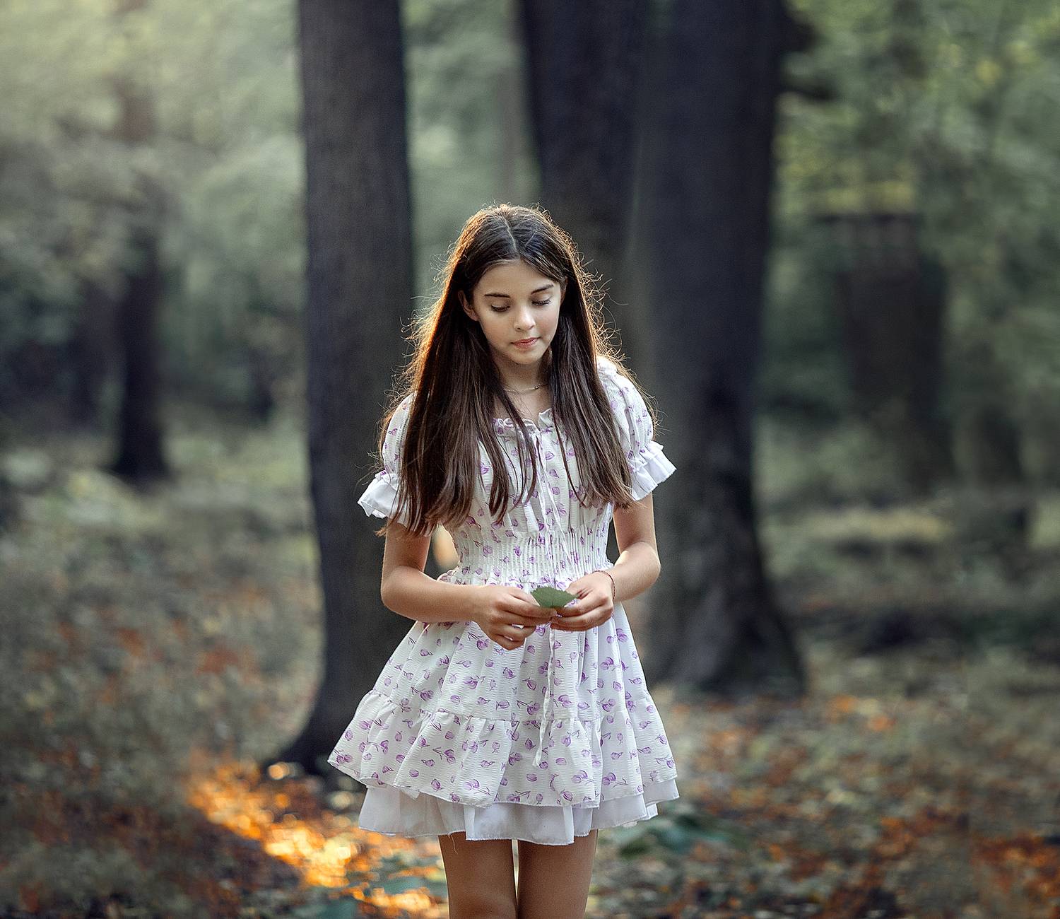 , Солнечный Александр