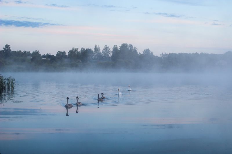 Утро на озере фото превью