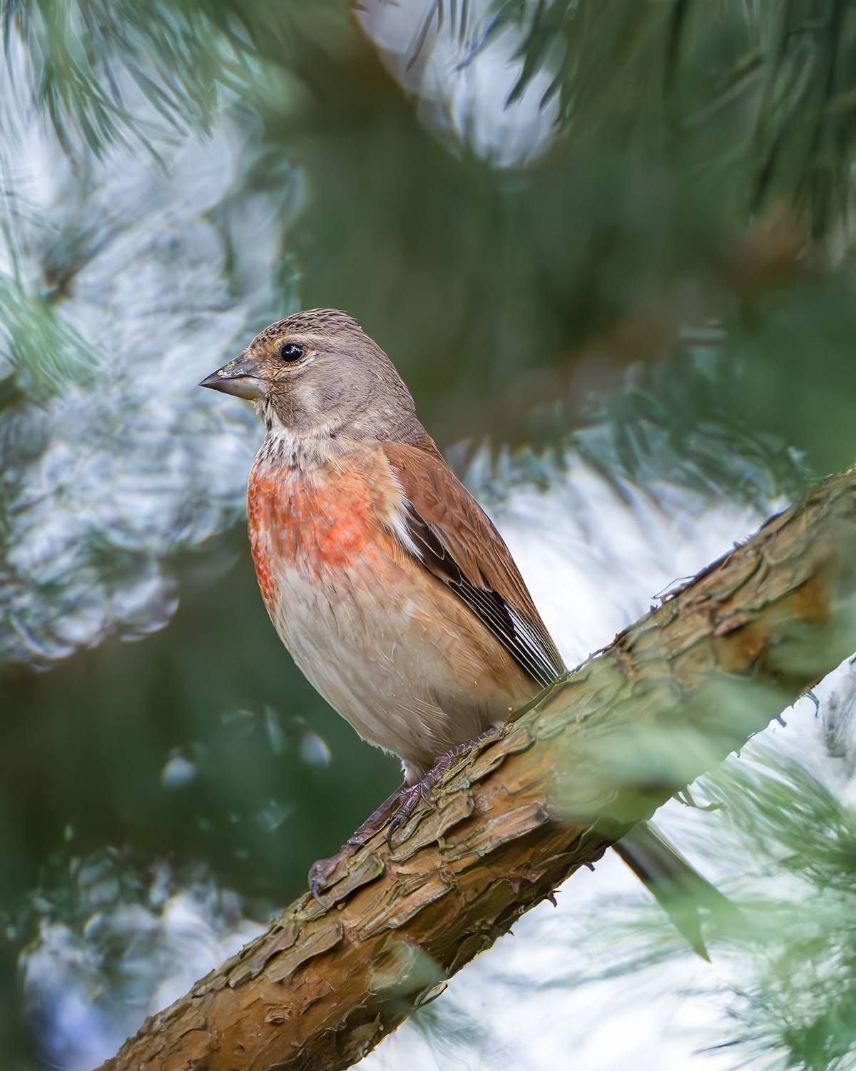 , Молодкин Дмитрий