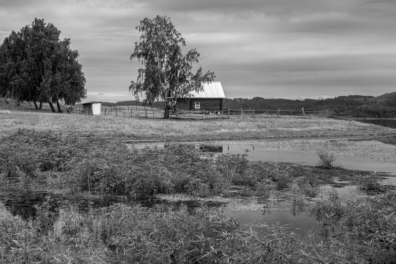 ******* фото превью