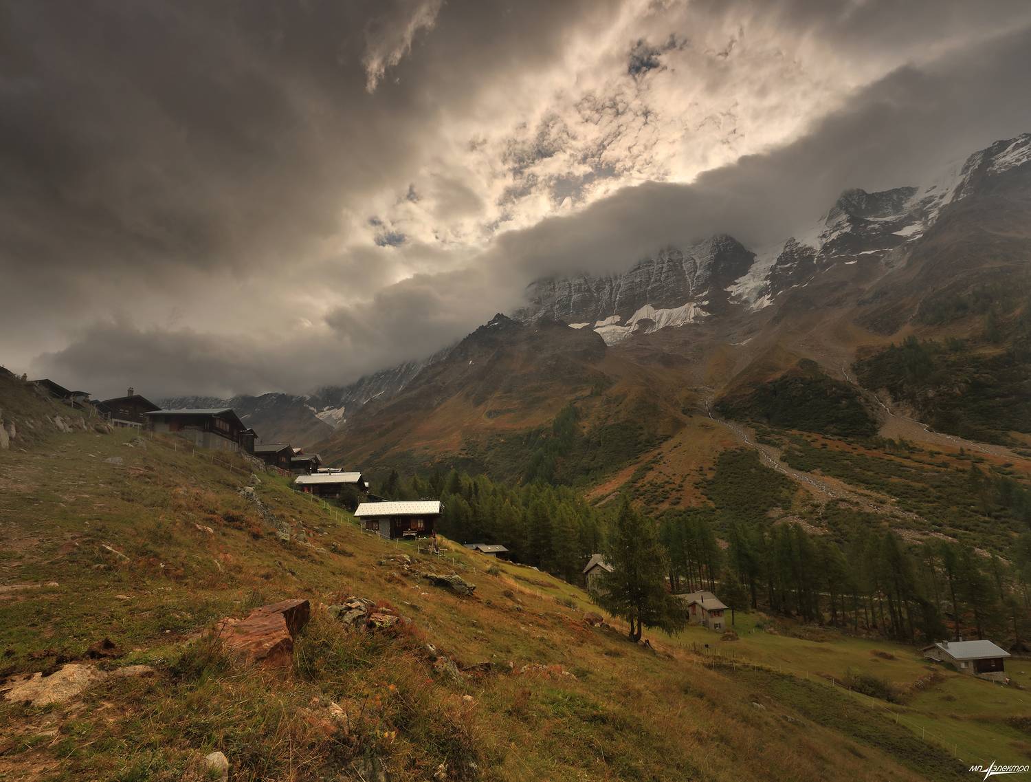 swiss, Матвеев Николай