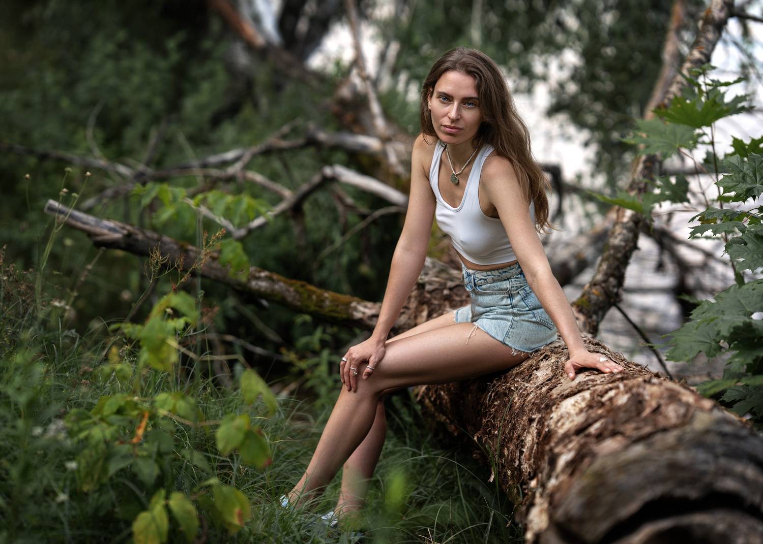 , Герасимов Михаил