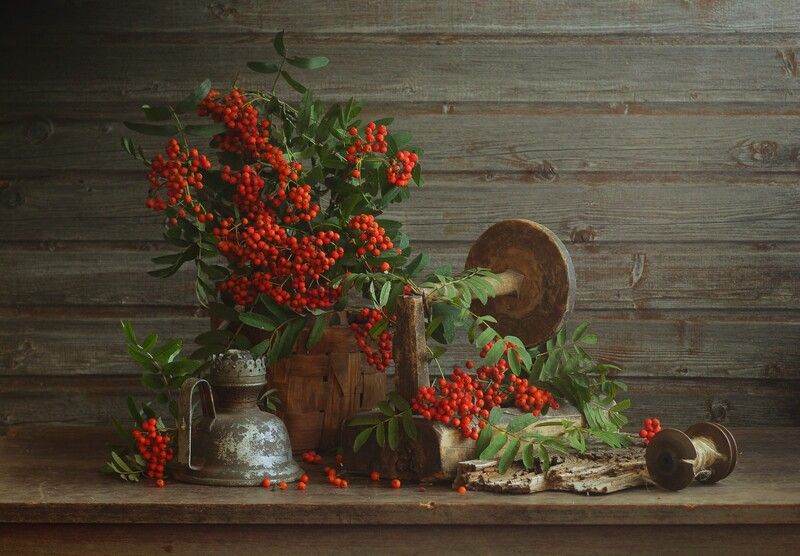 Напряла осень куст рябиновый... фото превью