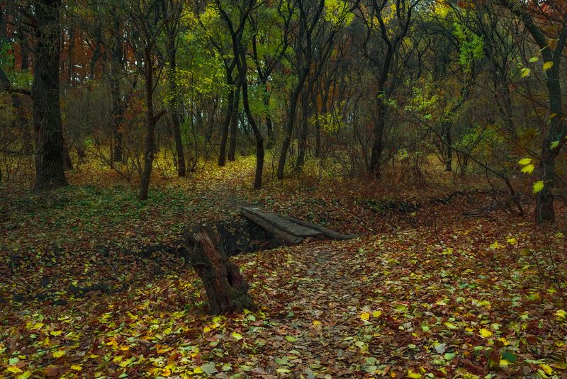 Осенними тропами... фото превью