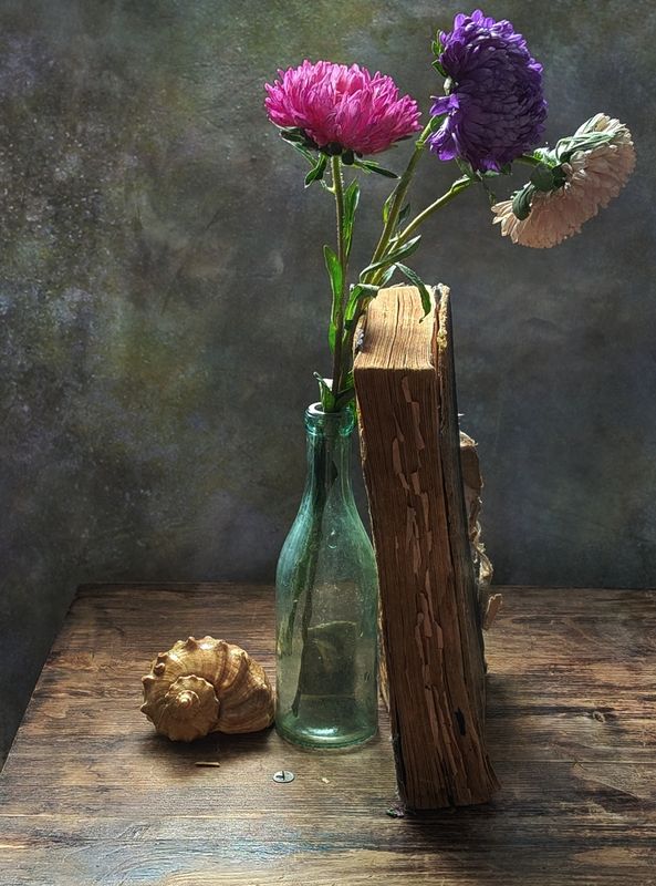 астра, цветы, книга Астры фото превью