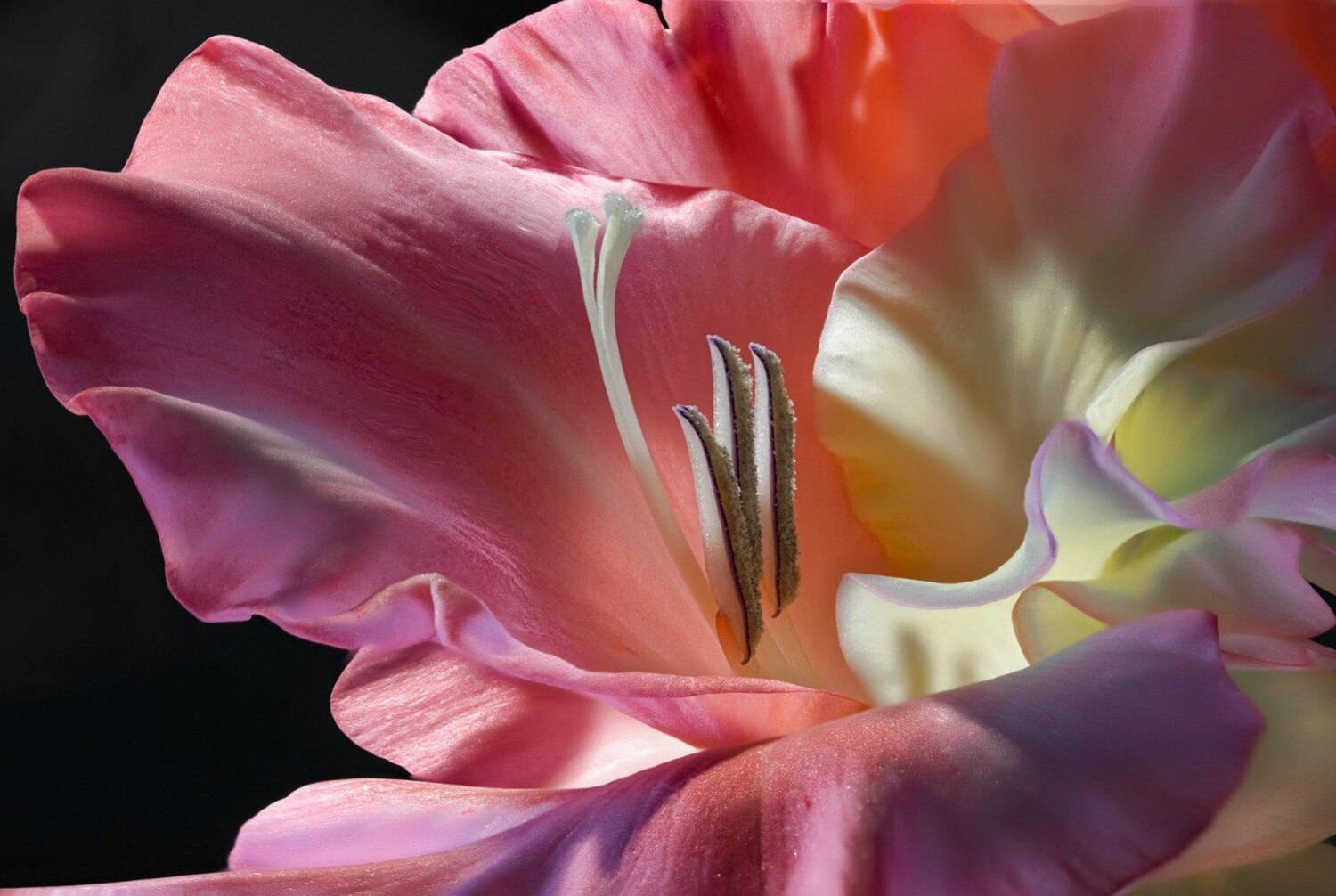 , Валентин Черновол