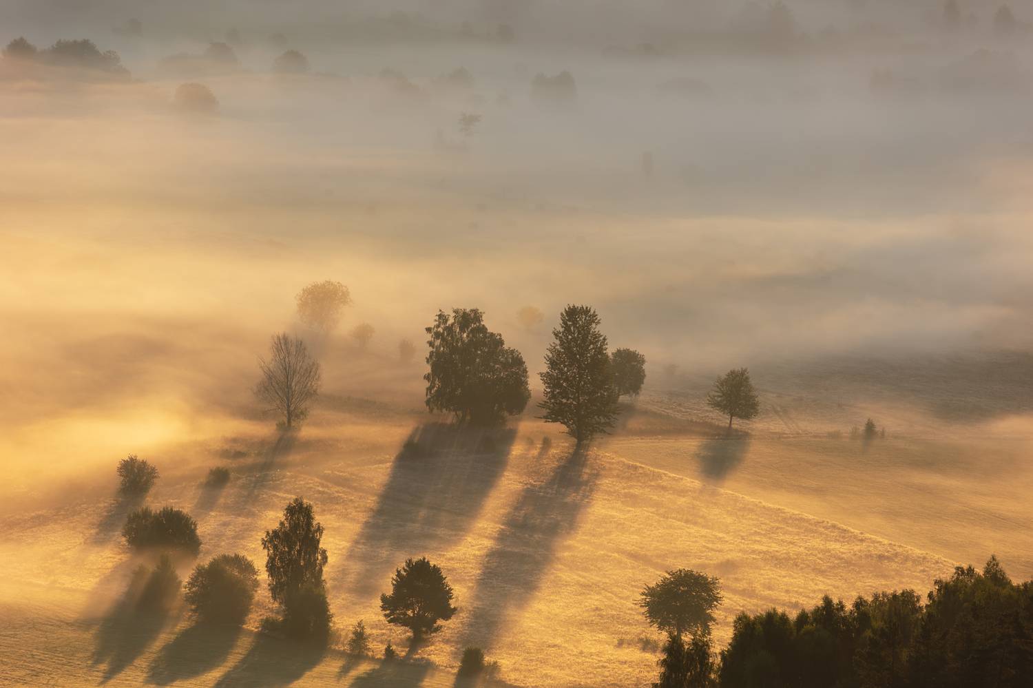 ,  Mirosław Pruchnicki