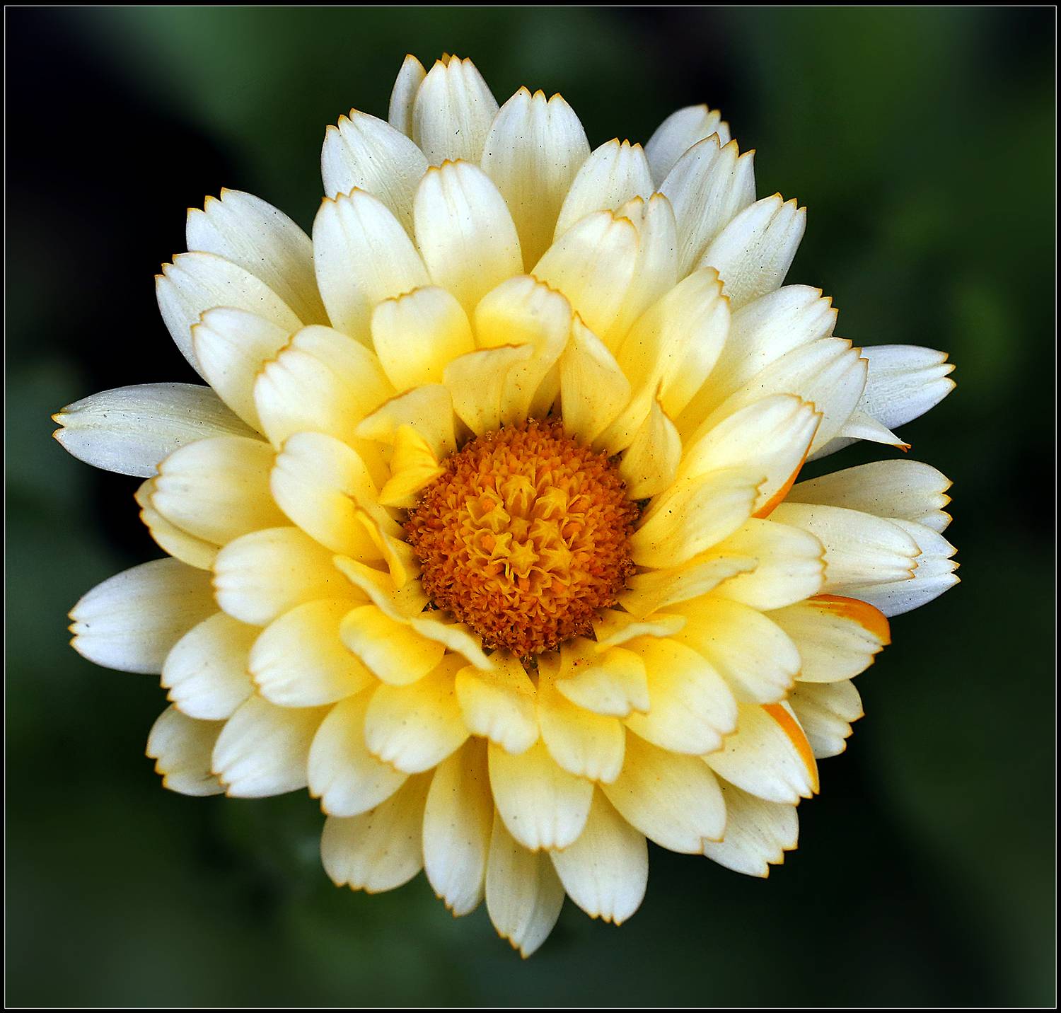 , Ушаков Валерий