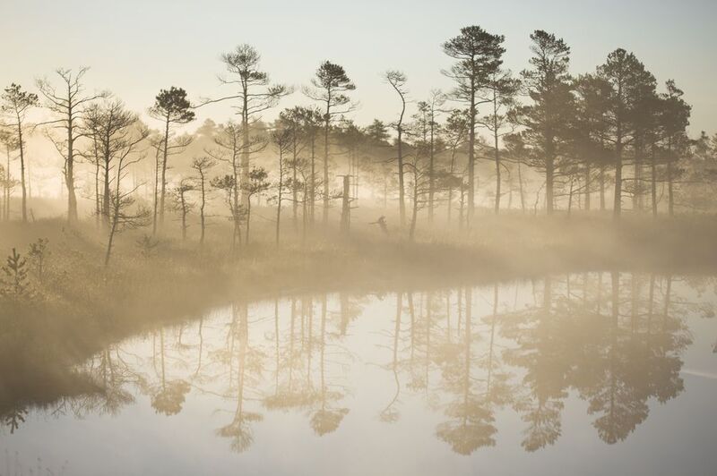kemeri  фото превью