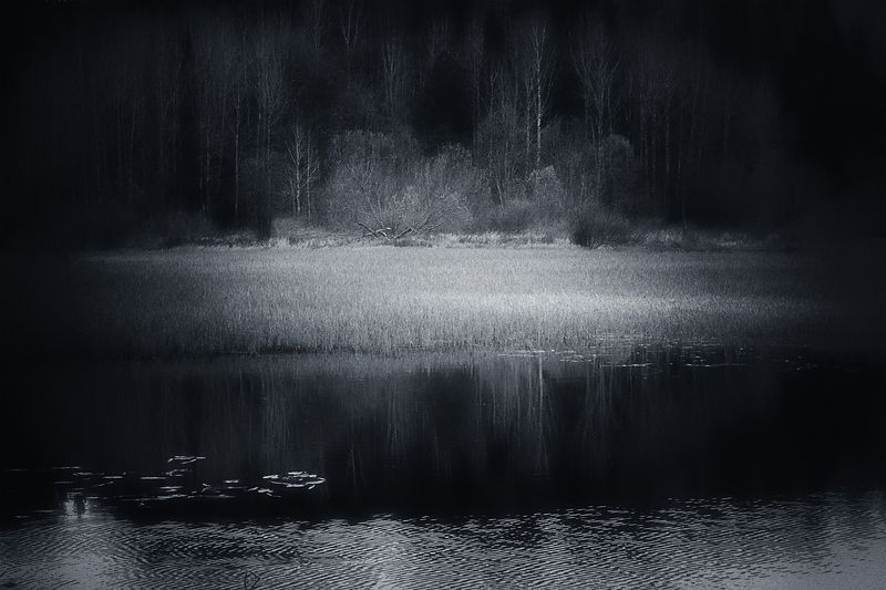 осень лес река вода черно-белое Осенний лес на берегу реки фото превью