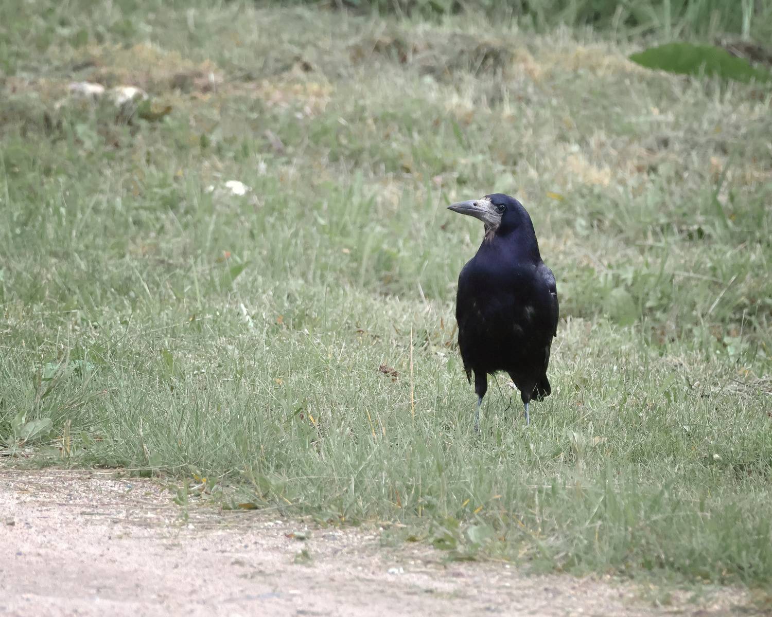 , Александр Титов