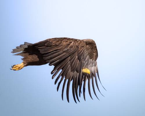 Меня здесь нет