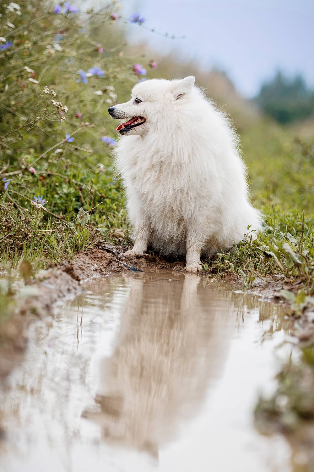 , Елена Самусенкова