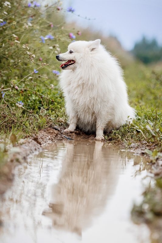 Облачко фото превью