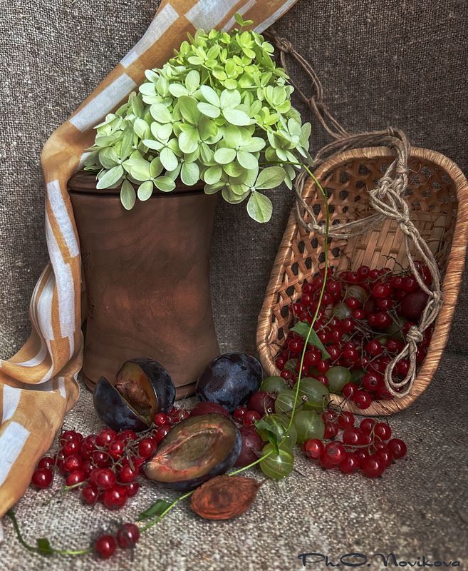 *** фото превью